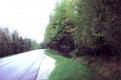 Dirt road lined with trees and shrubs: Reshot
