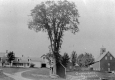 Alpha Tolman Farmhouse and Barn