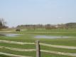 Fields And Forests On Shelburne Farm