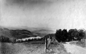 Dirt road and rural landscape