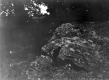 Rugg Brook dolomite