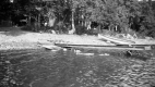 Dock, boat and house along the shore of a lake