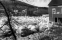 White River Junction Ice Jam and house