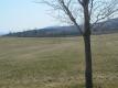 A field On Shelburne Farms