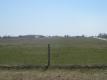 Fields and Barns