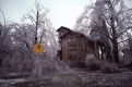 Burlington Ice Storm