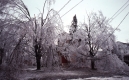 Burlington Ice Storm