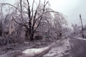 Burlington Ice Storm