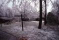 Burlington Ice Storm - back yard
