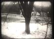 1927 Flood Movie Screenshot: Proctor 1