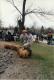 Geology Mud Wrestling 