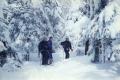 Cross-Country Skiing at Bolton