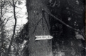 Trail Sign on The Long Trail 