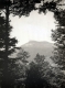 Camel's Hump Framed by Trees