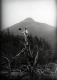 Boy Posing in Front of Camel's Hump 