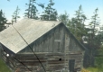 Ellen Lodge