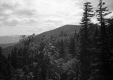 South from Mt. Theodore Roosevelt