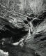 Bathing Pool at Breadloaf Glen