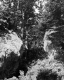 The Carpenters Trail