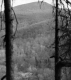 View of Mt. Pico