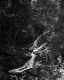 Small Creek