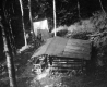 Emily Proctor Lodge from Above
