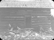 Battell Lodge