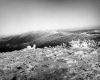 Winter View of Ellen Mt. from Mt. Abraham