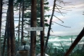 White Mts. From Molly Stark's Cabin