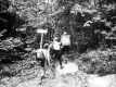 Women Walking into the Woods