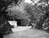 Two Women on a Path