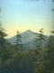 The Summit of Camel's Hump through Evergreen Trees