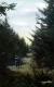 Woman on Trail
