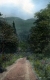The Chin of Mount Mansfield from Barnes Camp