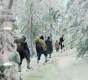 Snowshoers on Camel's Hump