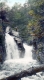 Diehl's Twin Falls