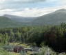 Earle Kinsley's Homestead