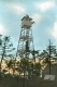 Belvidere Mountain Tower in Summer