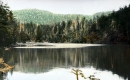 Sterling Pond, 1927