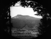 Black and White Camel's Hump