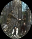 Four People Posing Around a Tree