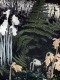 Ferns and Indian Pipe