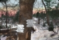 Signs on a Tree at the Ruins of Beaver Meadow Cabin