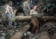 Clearing a Trail on Burnt Rock Mountain