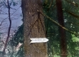 Three Mile Mark to Birch Glen