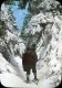 Snowshoers on Killington Trail