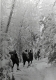 Snowshoers on Camel's Hump