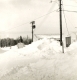 Snow on Trees, Buildings and Utility poles 