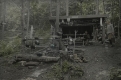 The Birch Lodge