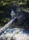 Woman Crossing Log Bridge